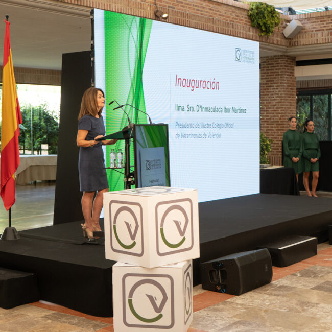 Evento Corporativo, Evento Colegio Oficial, Evento de Empresa