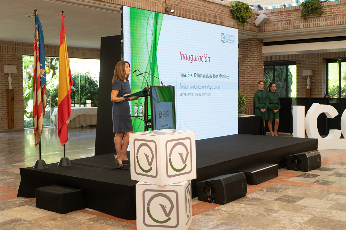 Evento Corporativo, Evento Colegio Oficial, Evento de Empresa