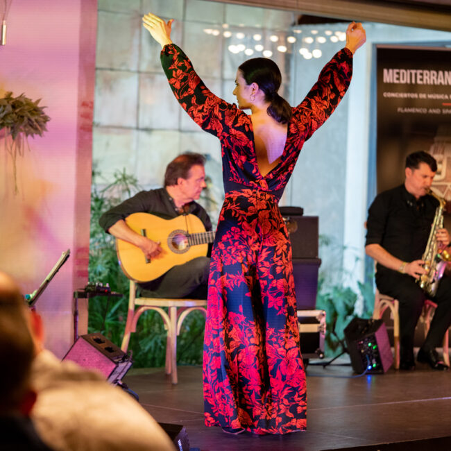 Cena de Gala, Evento Corporativo, Actuación de Flamenco
